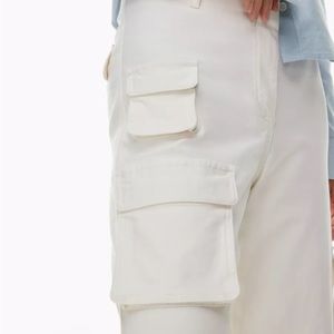 Aritzia Wilfred Free Picture Cargo Pants